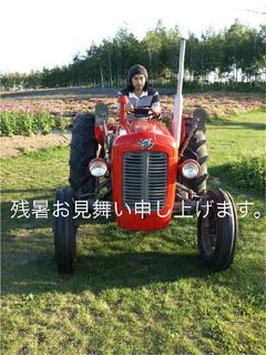 Shibui-tractor